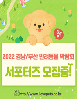 2022 경남/부산 반려동물 박람회 서포터즈 모집